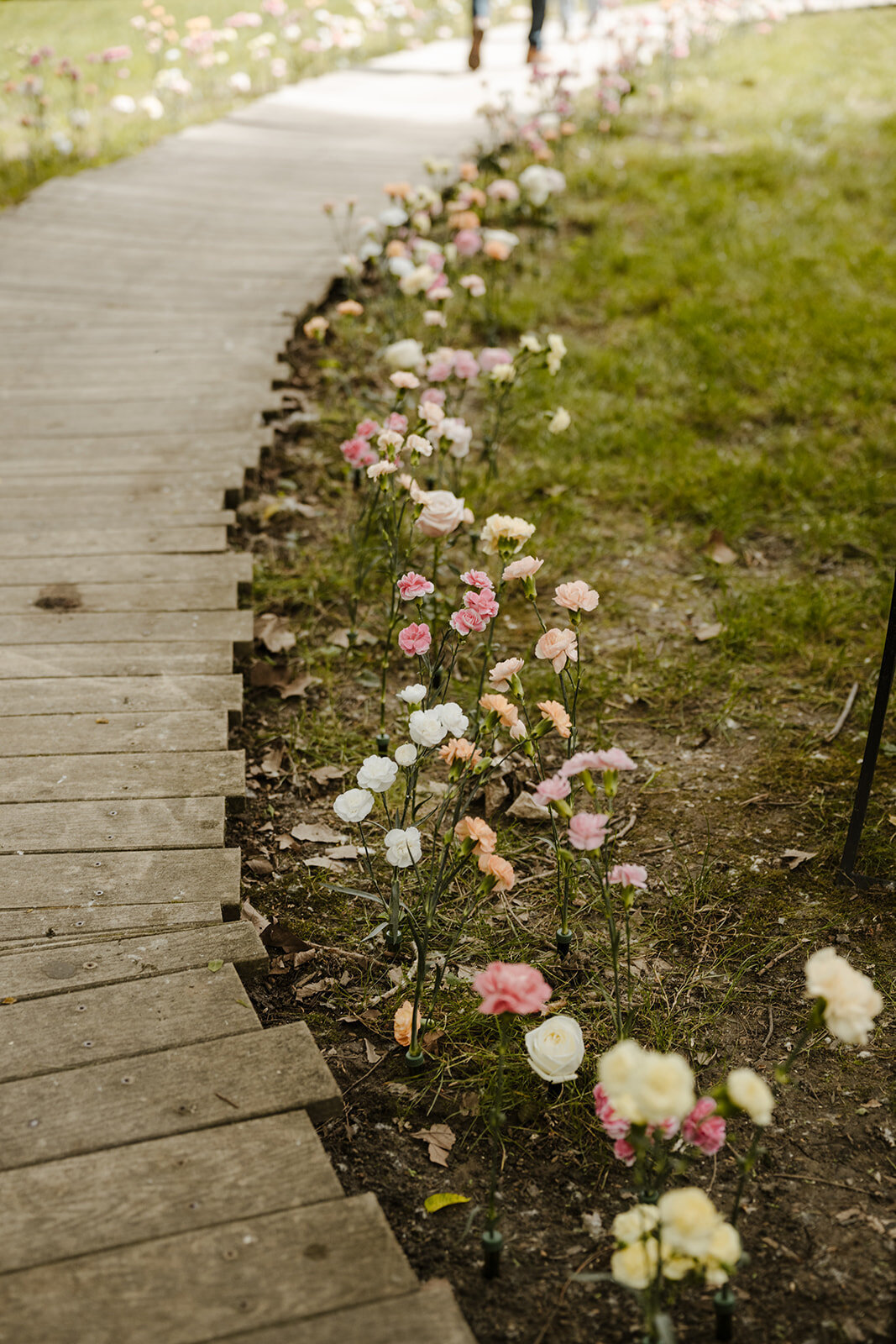 curiouscourtneysphotography342