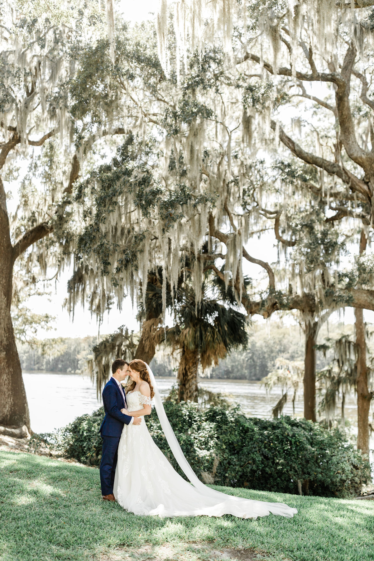 Spanish moss can make for a stunning backdrop.