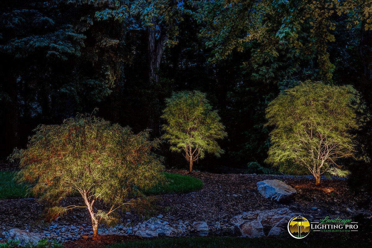 Adondakis-Holladay Landscape Lighting Sactuary 3