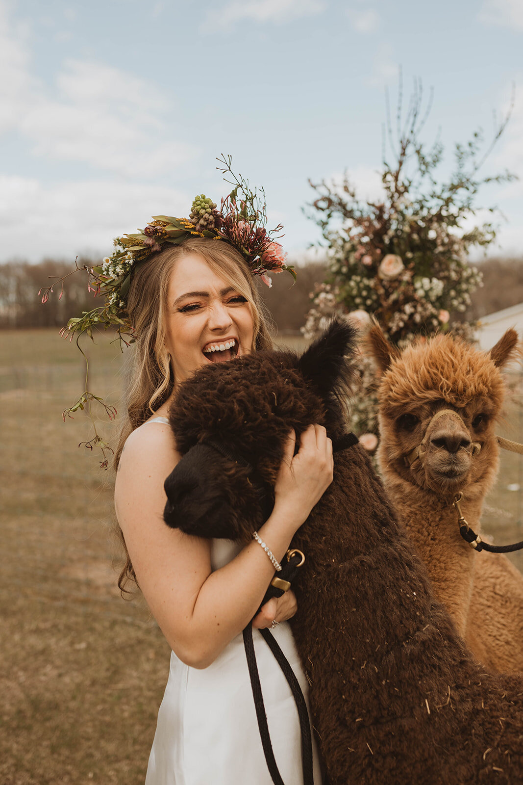 Alpaca Styled Shoot-195