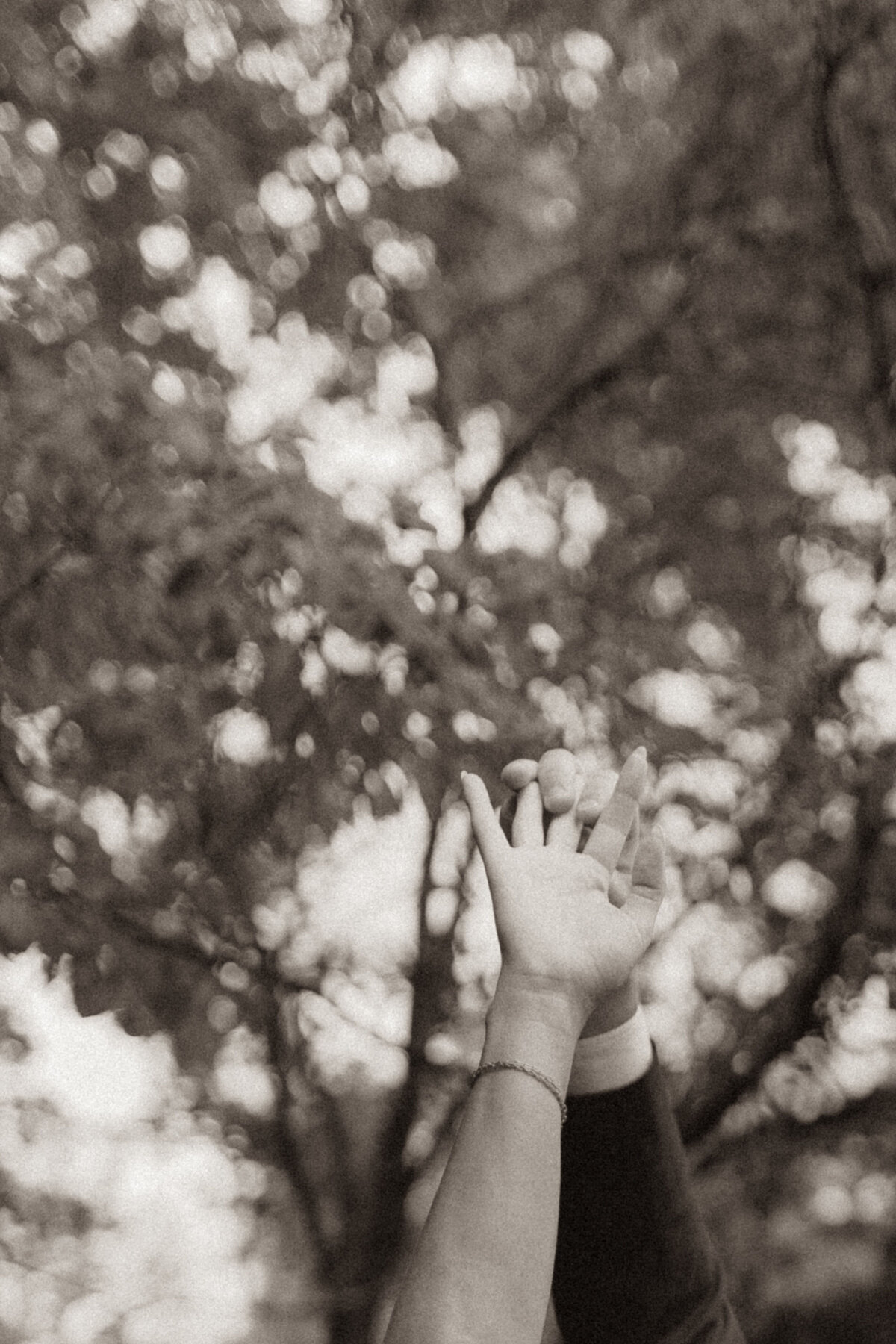 WED_3561