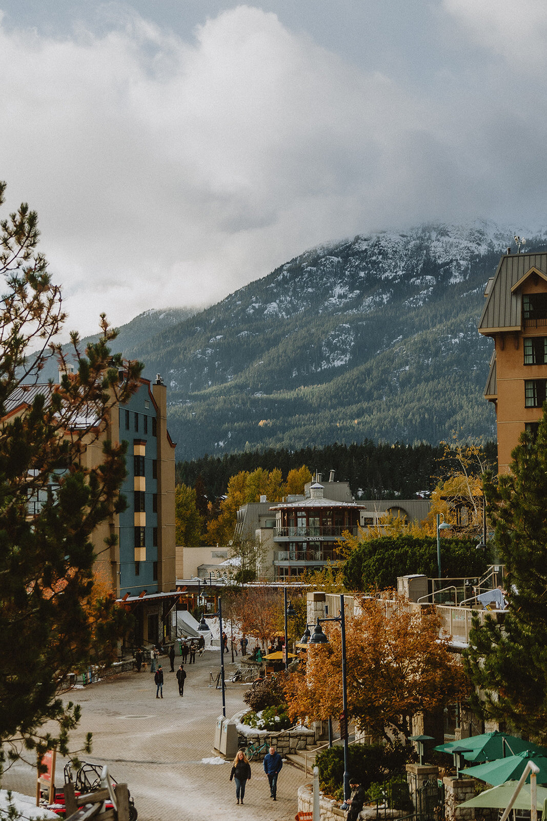 Whistler_4H1A6263