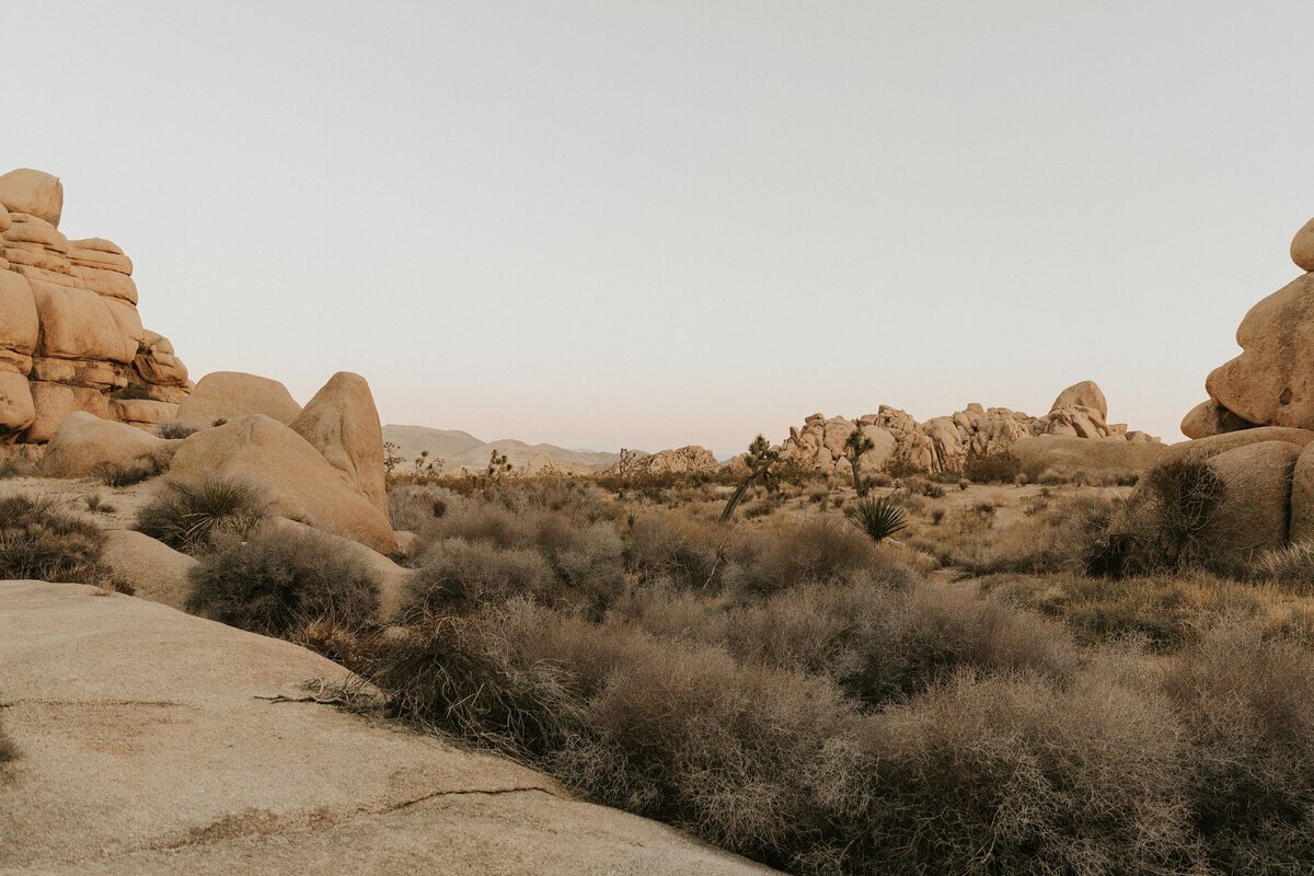 Joshua-Tree-Elopement-30