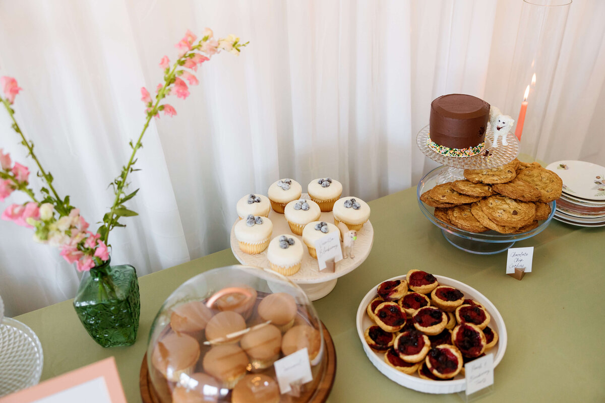 Blue-Ridge-Mountains-Wedding-93