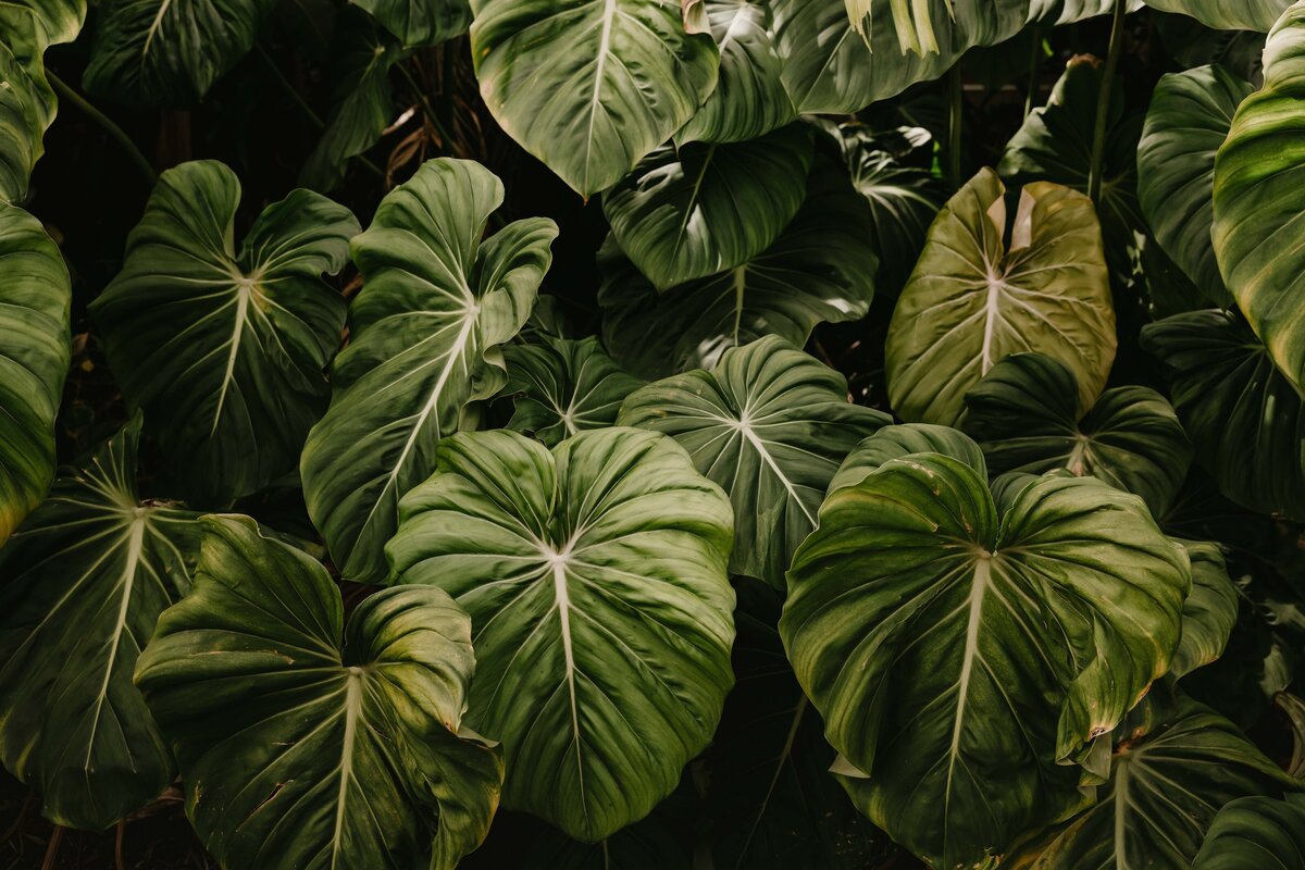portdouglasweddingphotos_-18