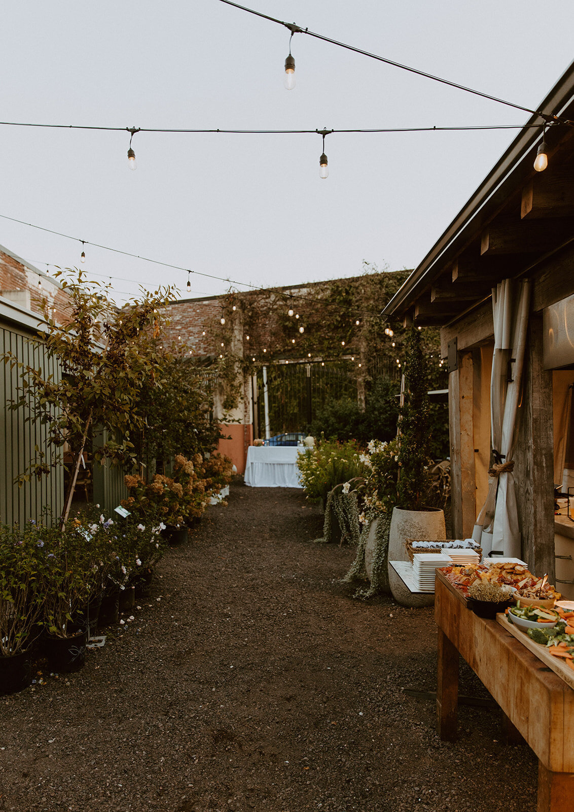 St. Louis_ MO _ Elopement + Intimate Wedding Photography _ Backcountry Bohemians-234