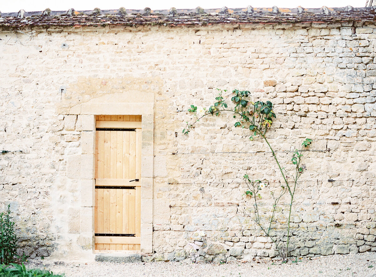 Film photograph of cottage door in Normandy France with ivy growing up the wall