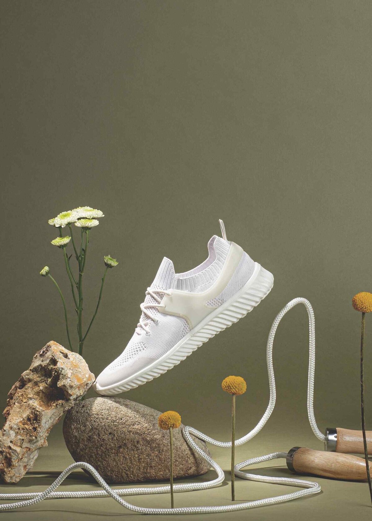 still_life_photography_trainer