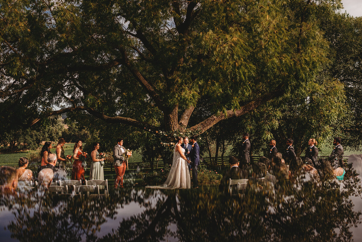 Gorgeous outdoor wedding venue in Baltimore with bride and groom holding hands and standing under a large tree during their outdoor wedding ceremony captured by Baltimore wedding photographers
