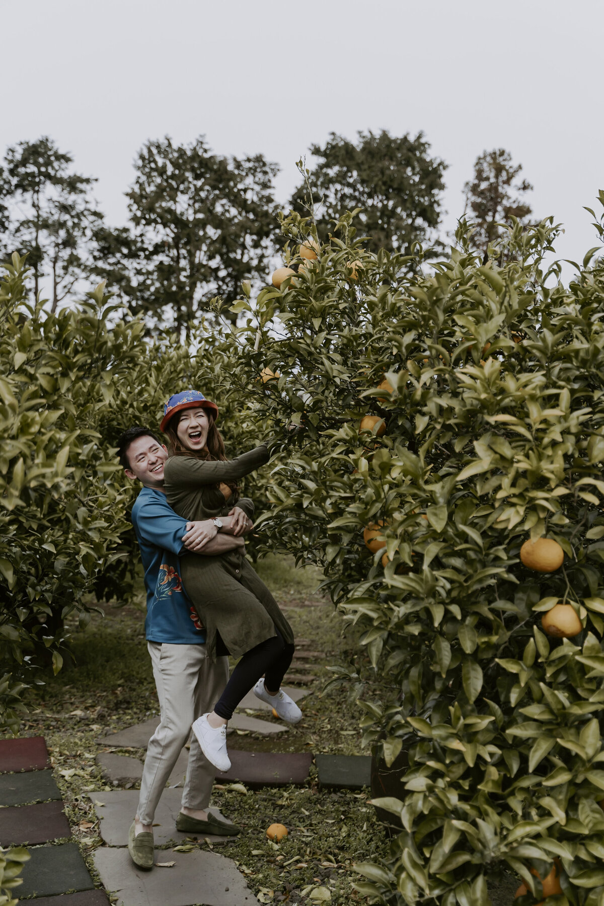 the groom back hugging and lifting the bride while picking tangerines