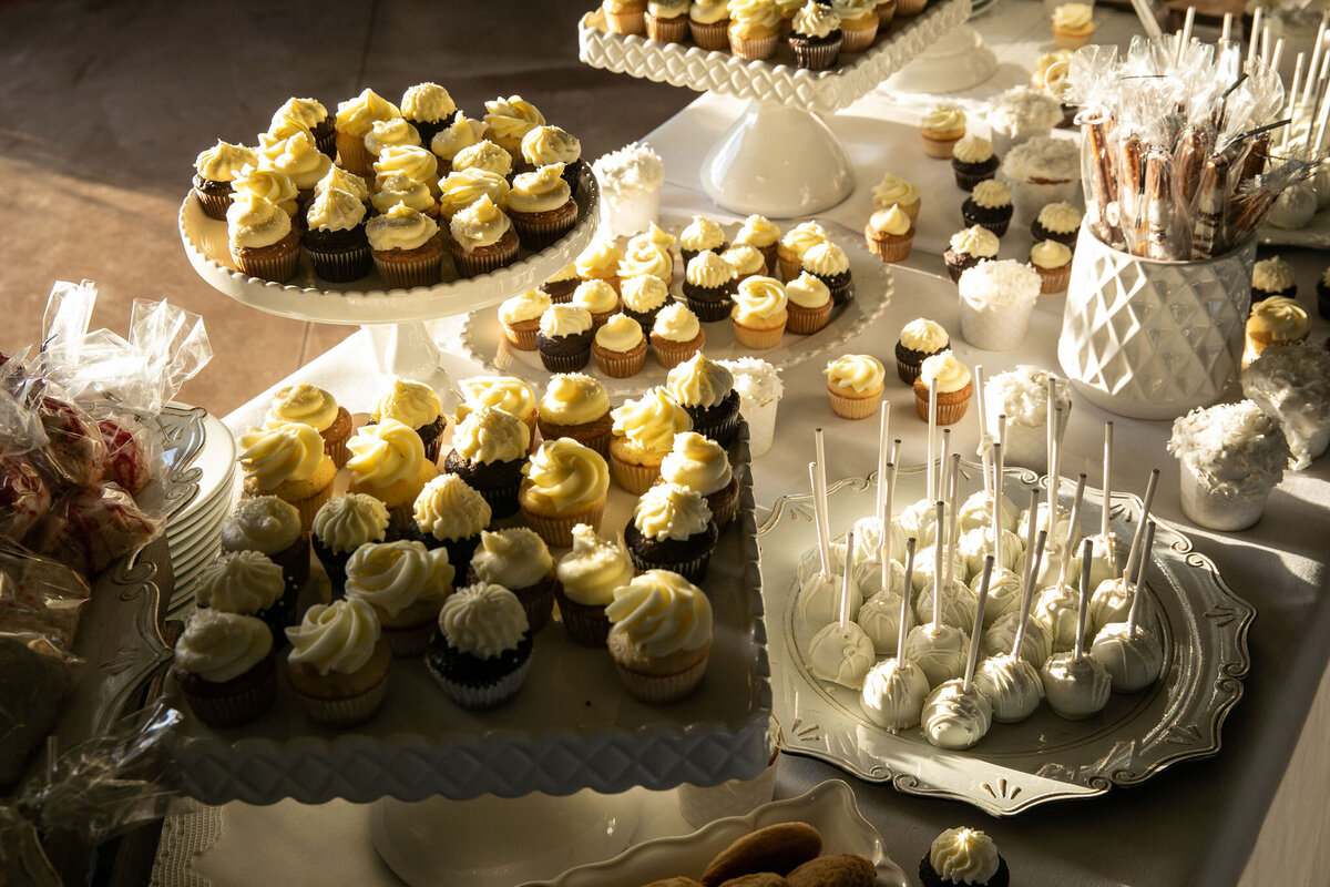 Therefugelakehavasuweddingphotos_weddingphotographers-613