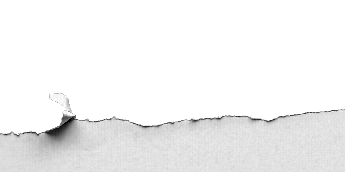 Ripped paper at the bottom of the page