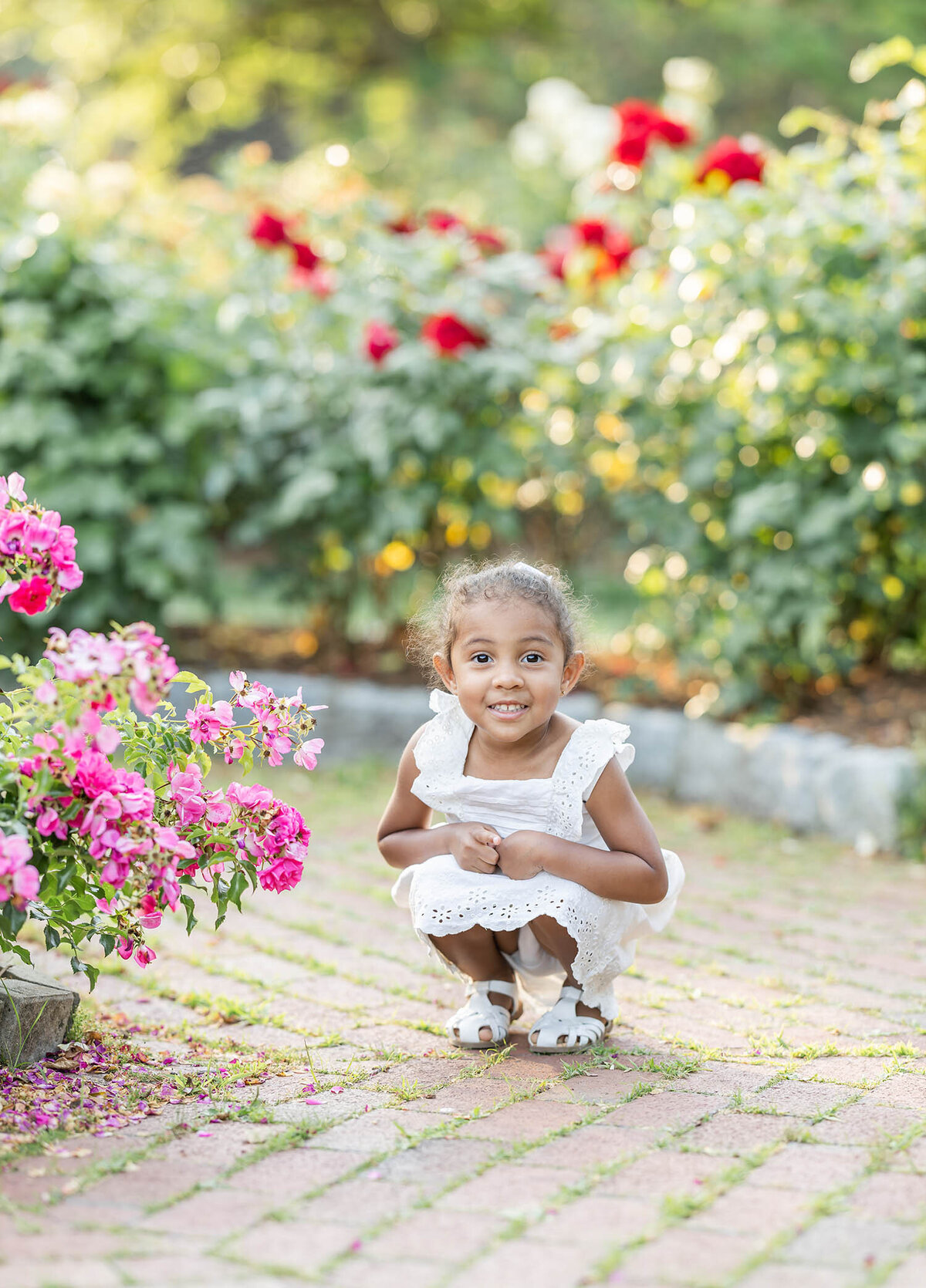 Toddler girl squatting down in a rose garden during a mommy and me photo session in Connecticut