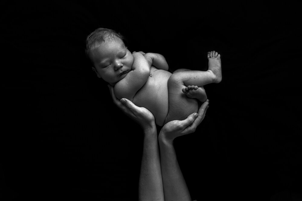 posed newborn baby in parent's hands - Townsville Newborn Photography by Jamie Simmons