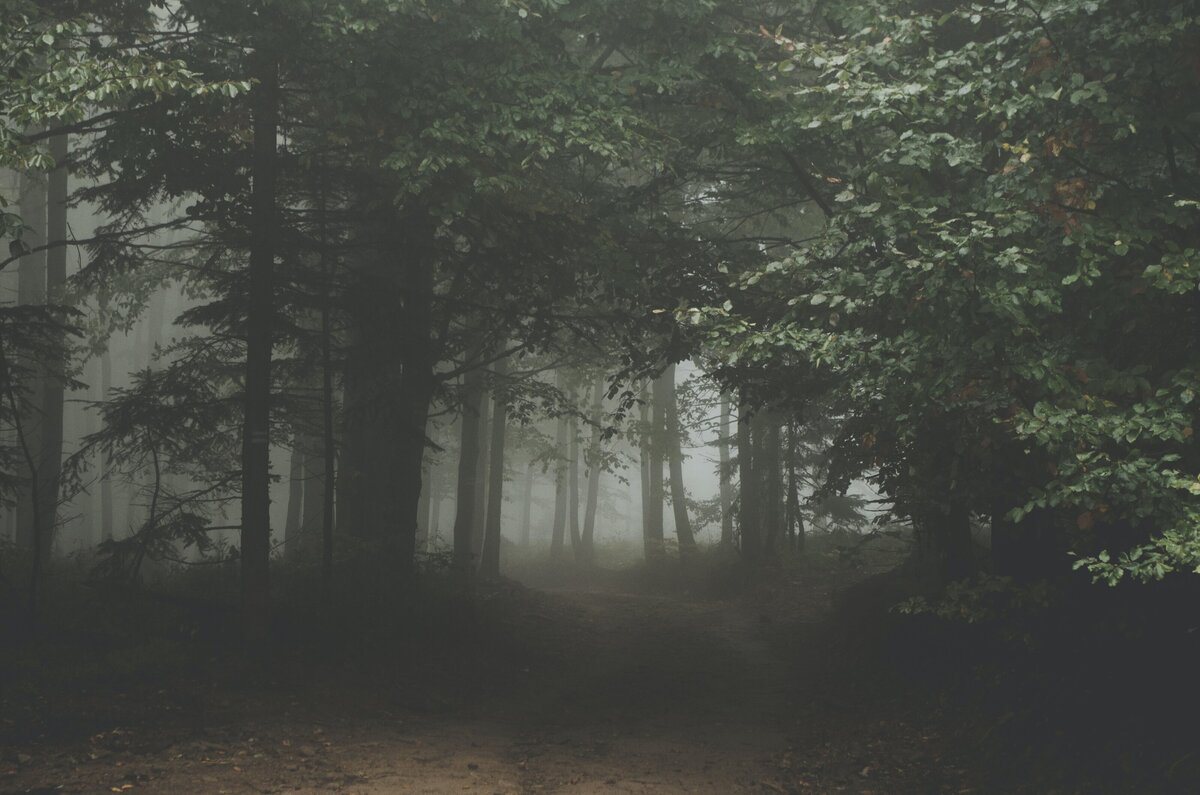 artur-rutkowski-x48QL8gNYZ8-unsplash
