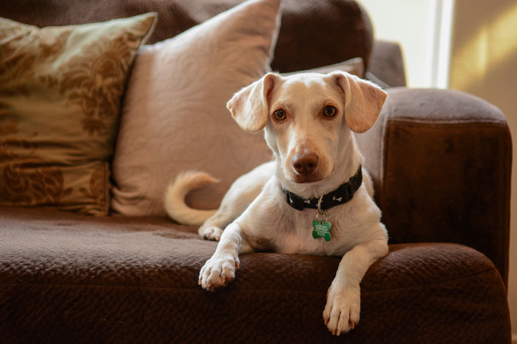 oyahm05d9tzivchki3tu