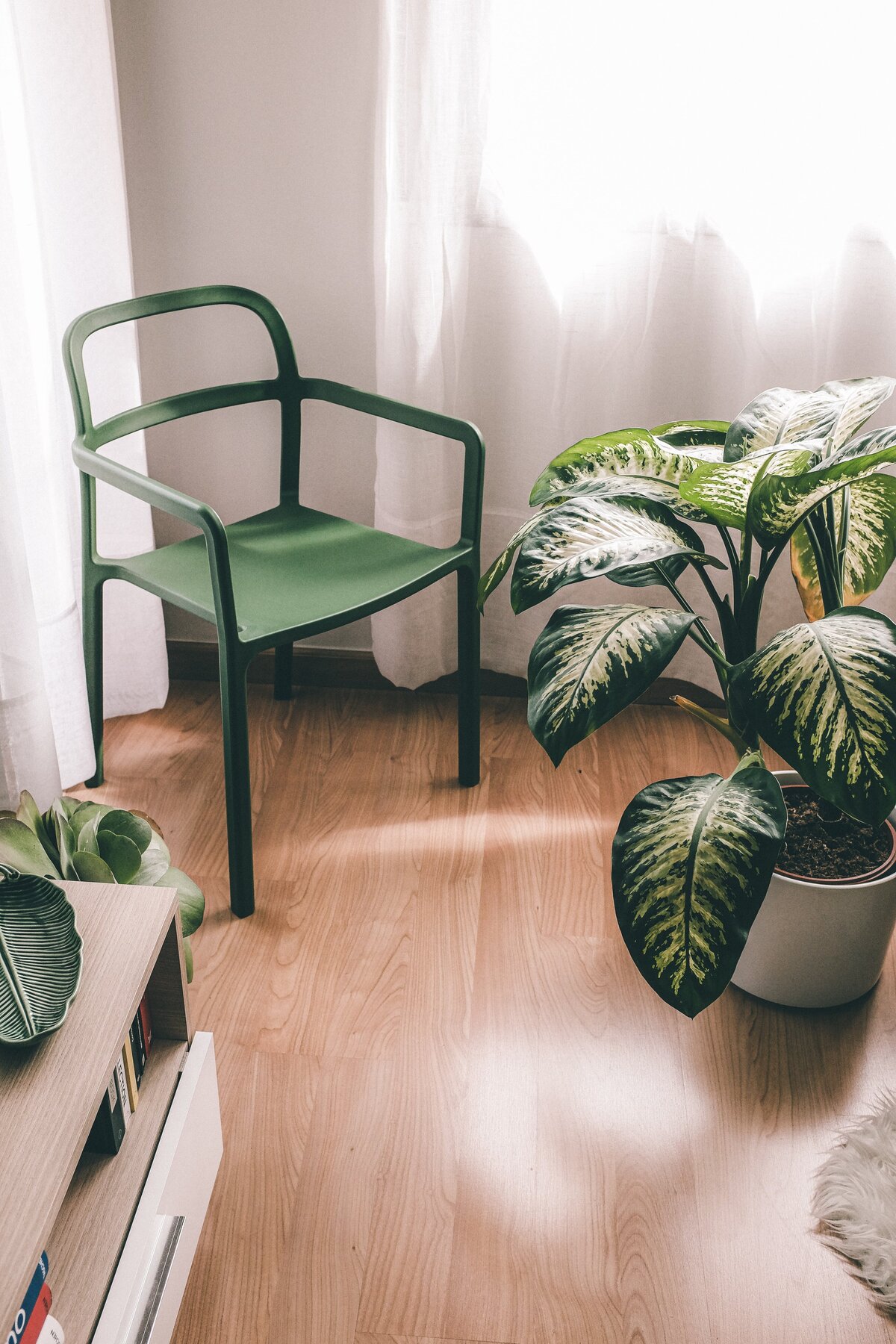 oriol-pascual-aeqfZZeCsG8-unsplash