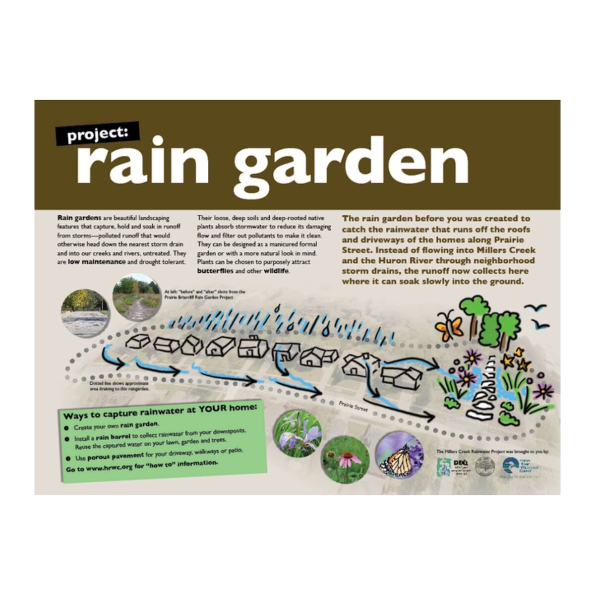 HRWC rain garden 2
