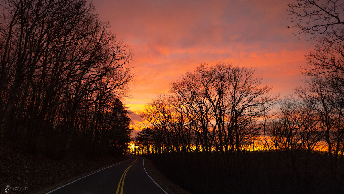 Driving along Skyline Drive for a dreamy orange sunset