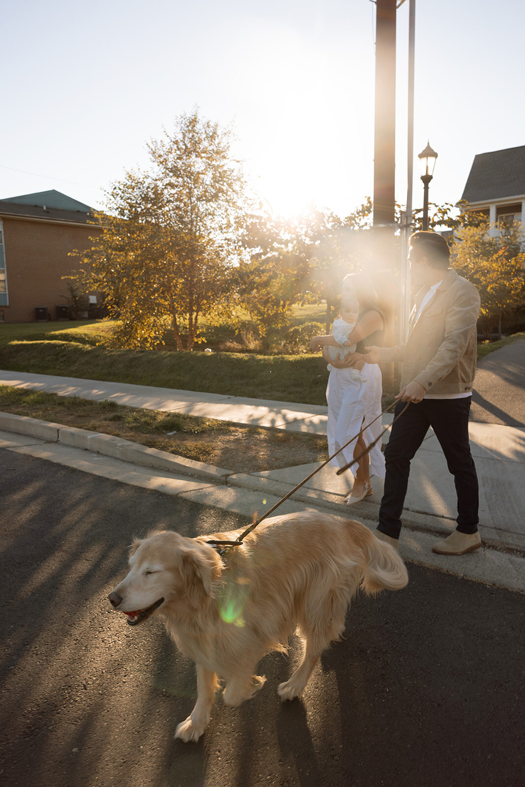 Family crosses the street as sunlight flares in the photo.