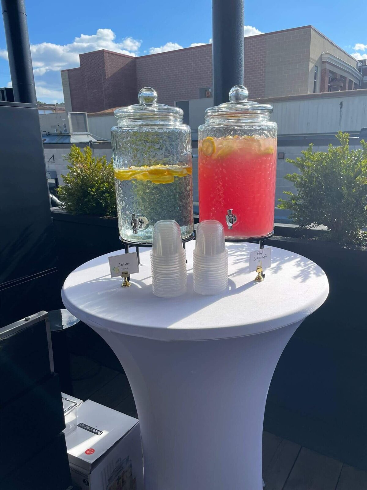 mobile_bar_ontario_hire_bartenders_event_wedding_bachelorette_party (23)