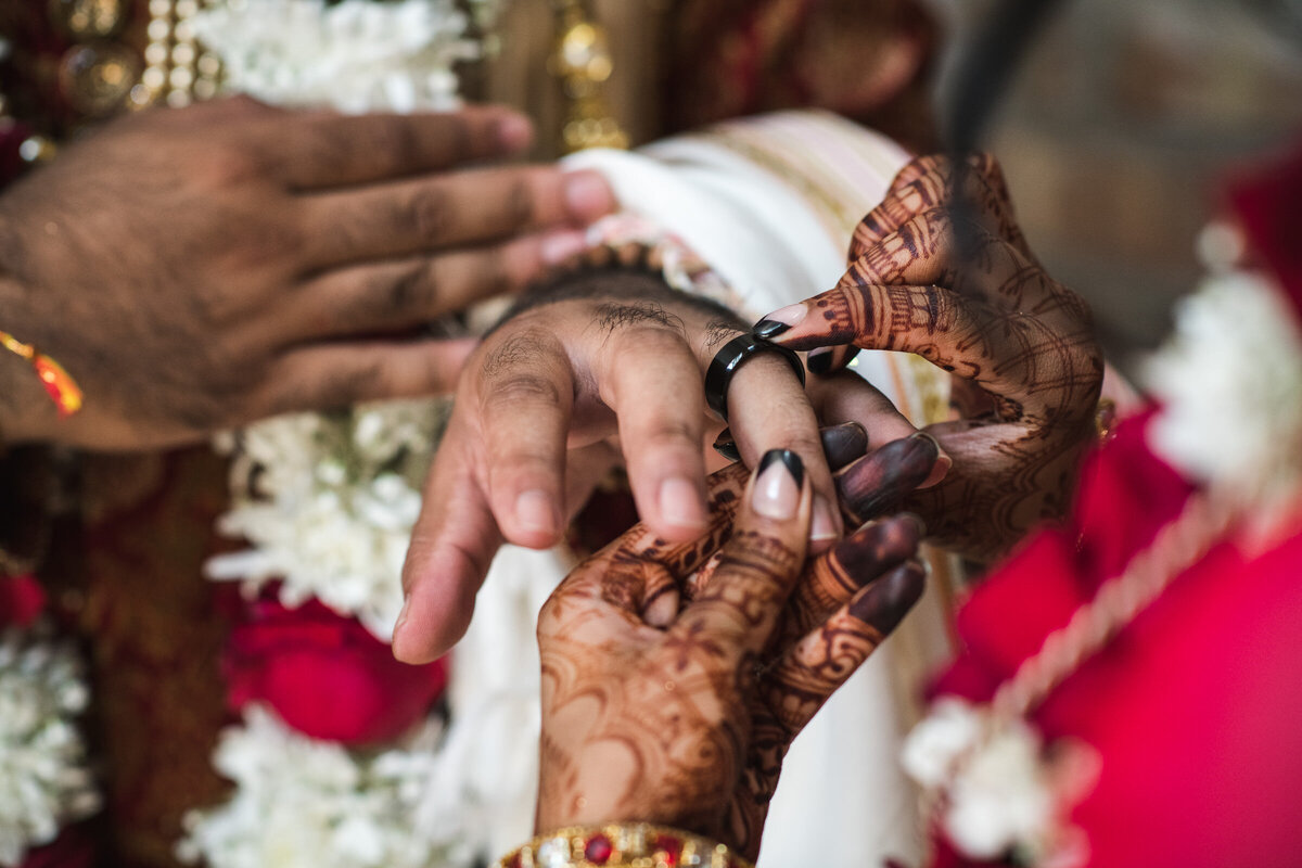 Raj&Bhumi (17)