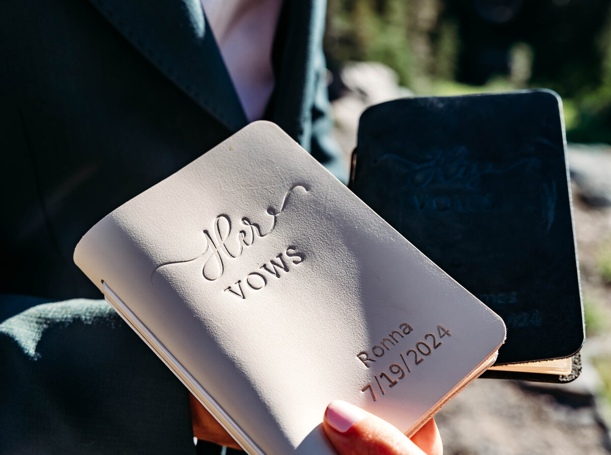 Mount Rainier, Washington Elopement-8461