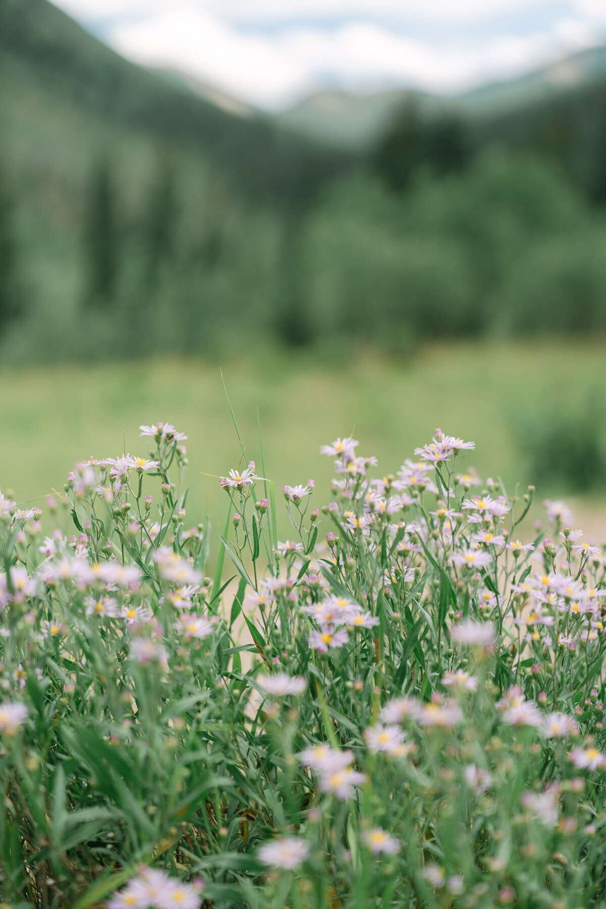 AspenSummerWedding_0034