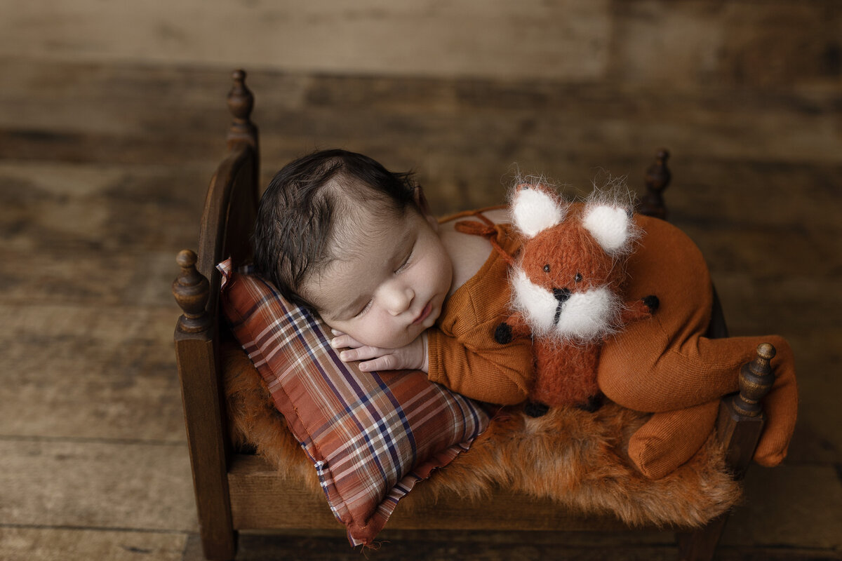 Newborn baby boy in a little bed with a fox stuffy