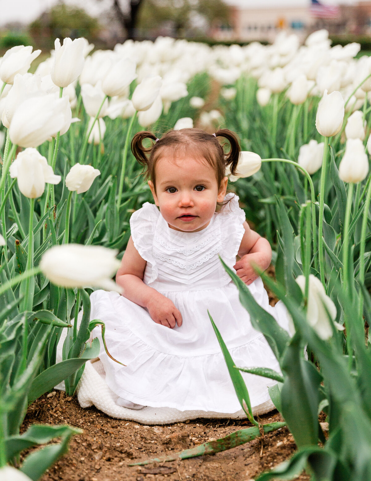 Tulipalooza24_EllisCountyMinis_ChristineMartin_21