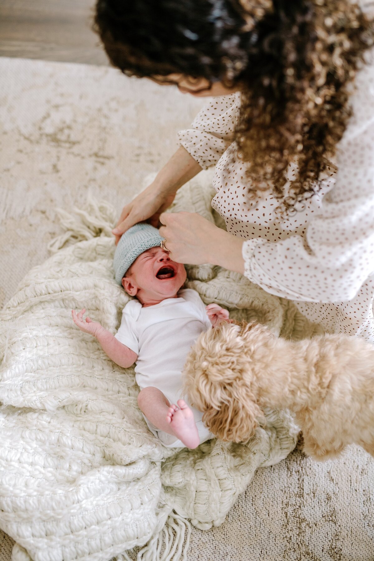 washington-dc-lifestyle-newborn-family-photos_0016