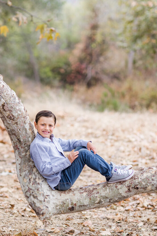 boy-sitting-in-tree-sweetwater-river-bridge-san-diego