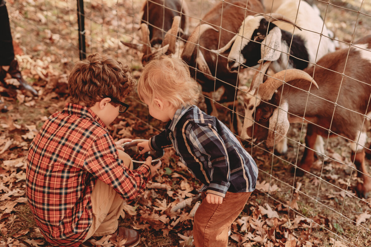 Knoxville Family Photographer