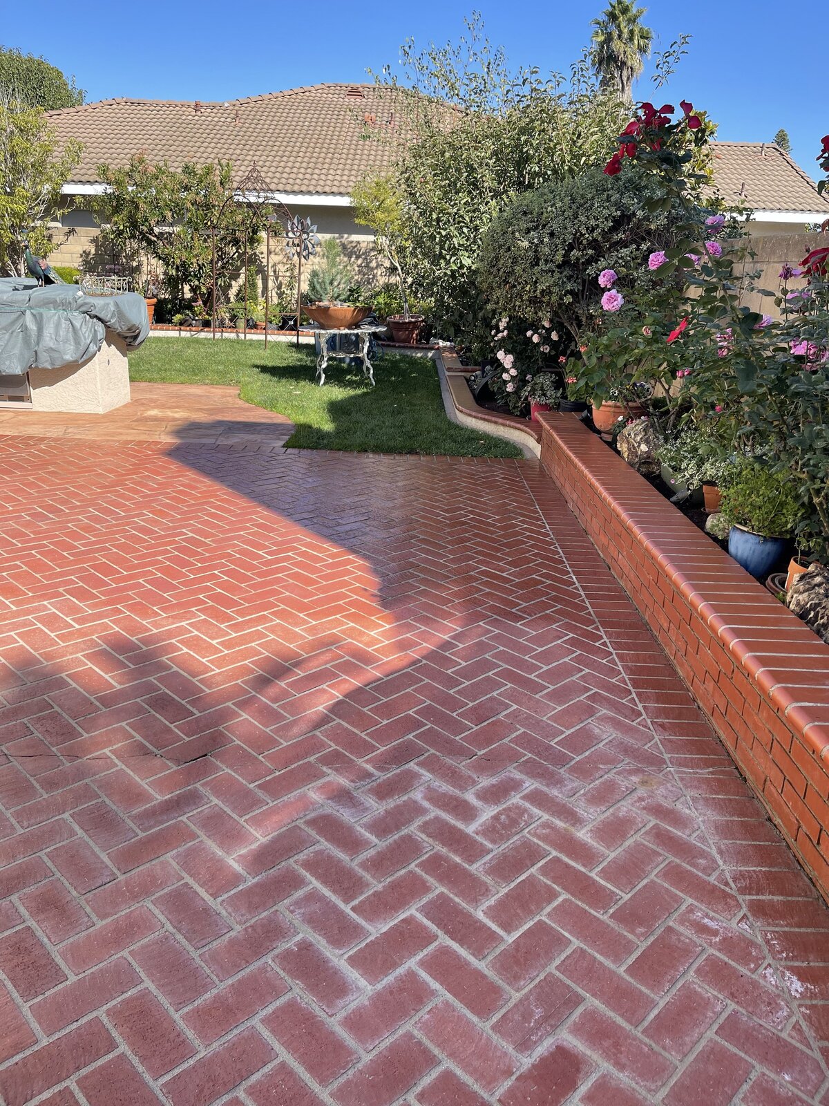 Concrete and brick cleaning -4
