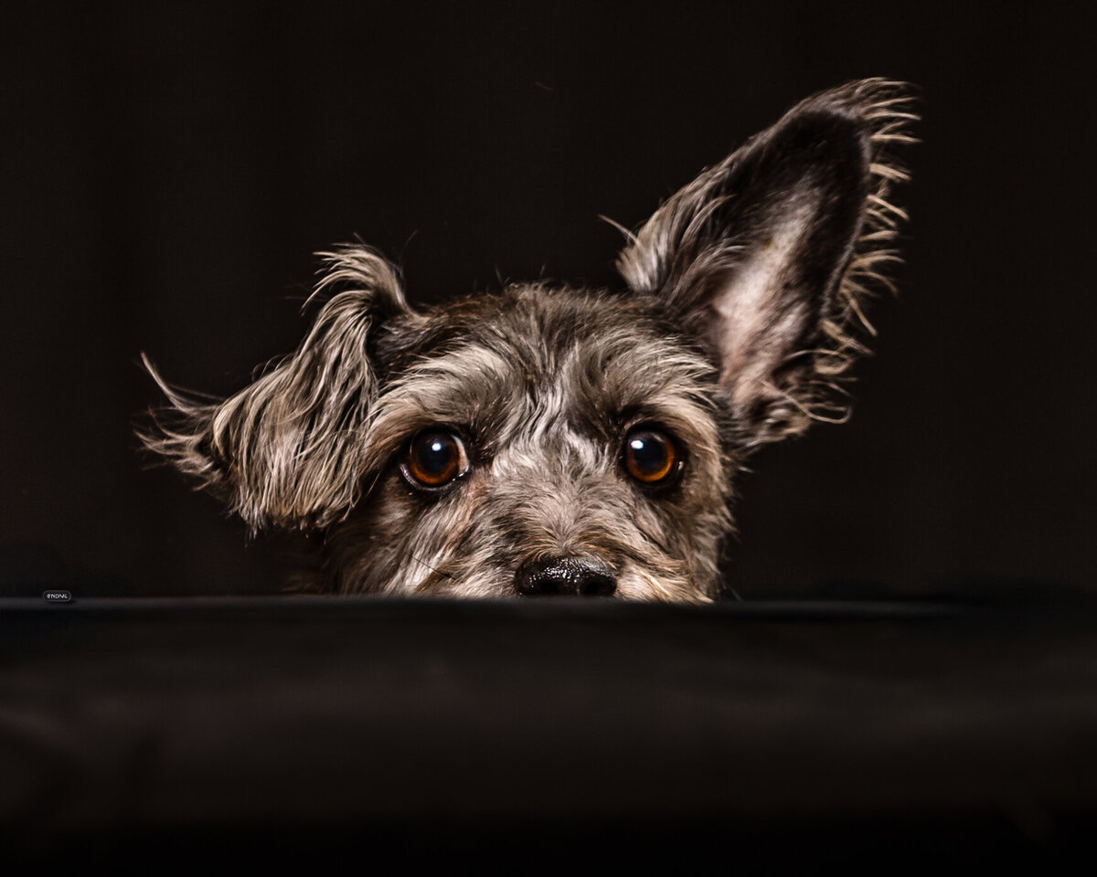 IMG_2906-Edit