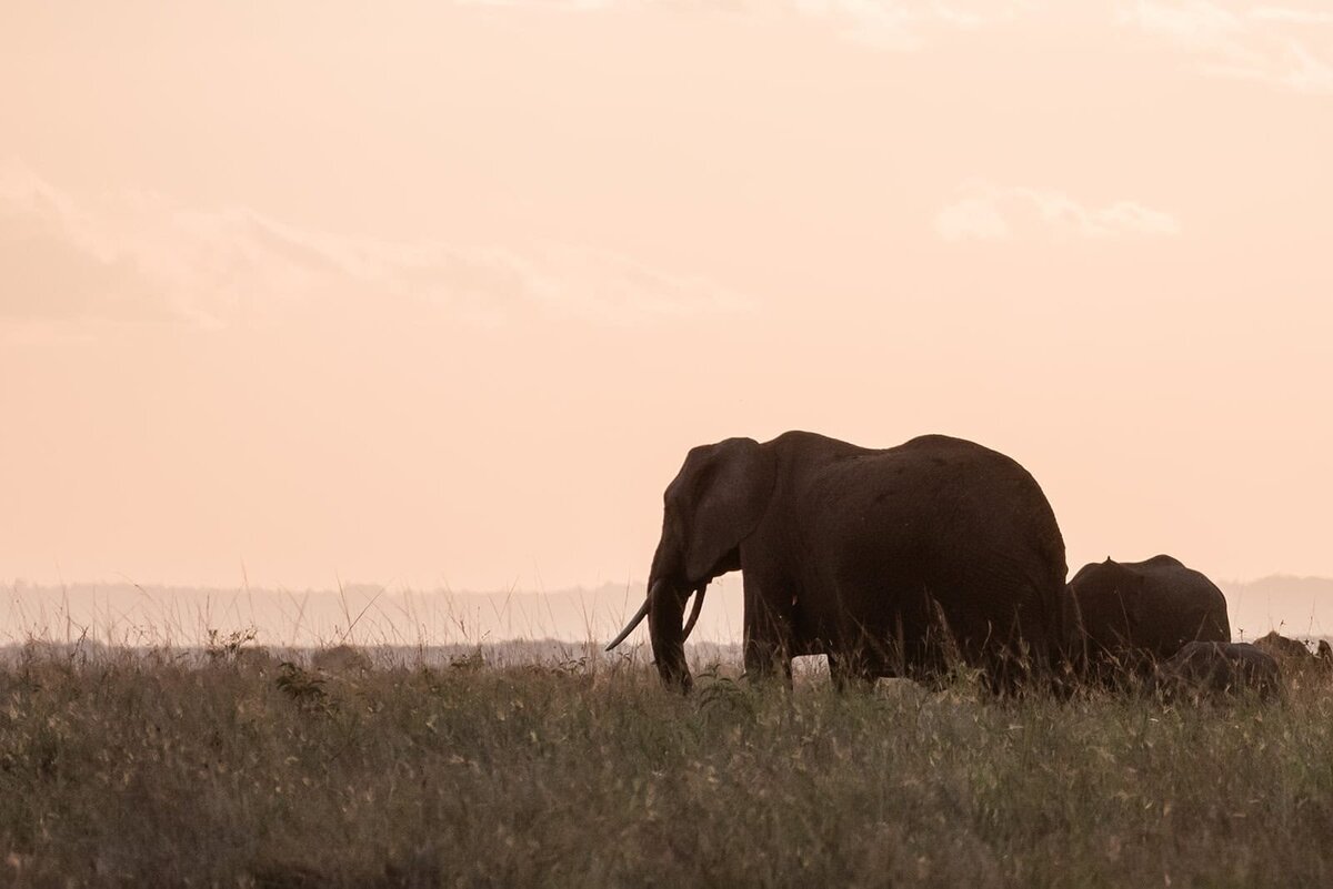 best-photographer-for-luxury-romantic-safari-elopement-wedding-Soul-and-Sky-Weddings