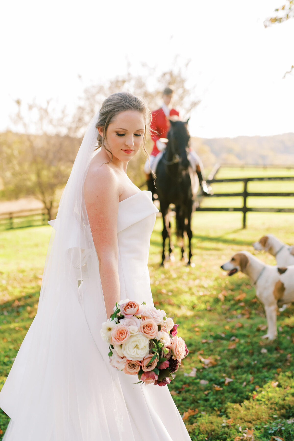 Bride wearing her gown holding a bouquet while groom riding a horse and two dogs looking
