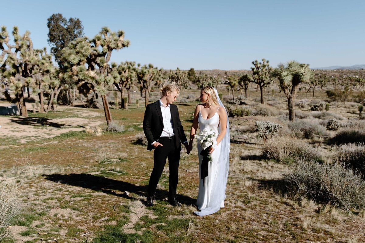 Elegant-Joshua-Tree-Elopement_1275