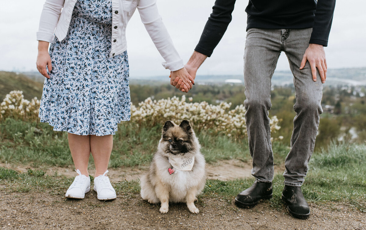 Engagement-80
