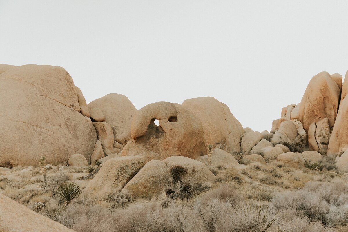 Joshua-Tree-Elopement-13
