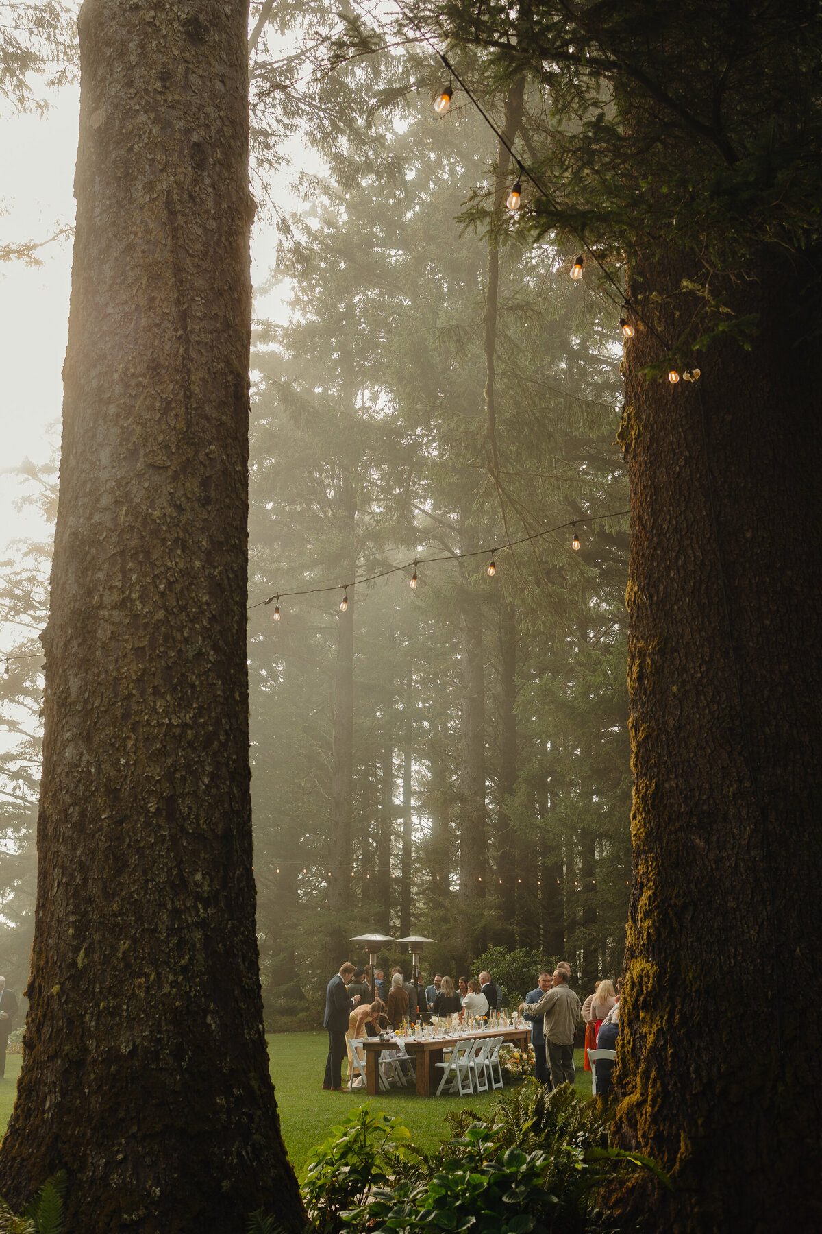 Plecker Wedding-217