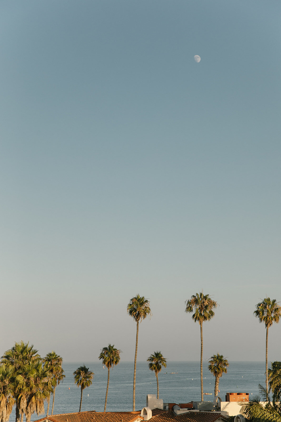 Tripp_Devry_D2_SBerard_Weddings-40