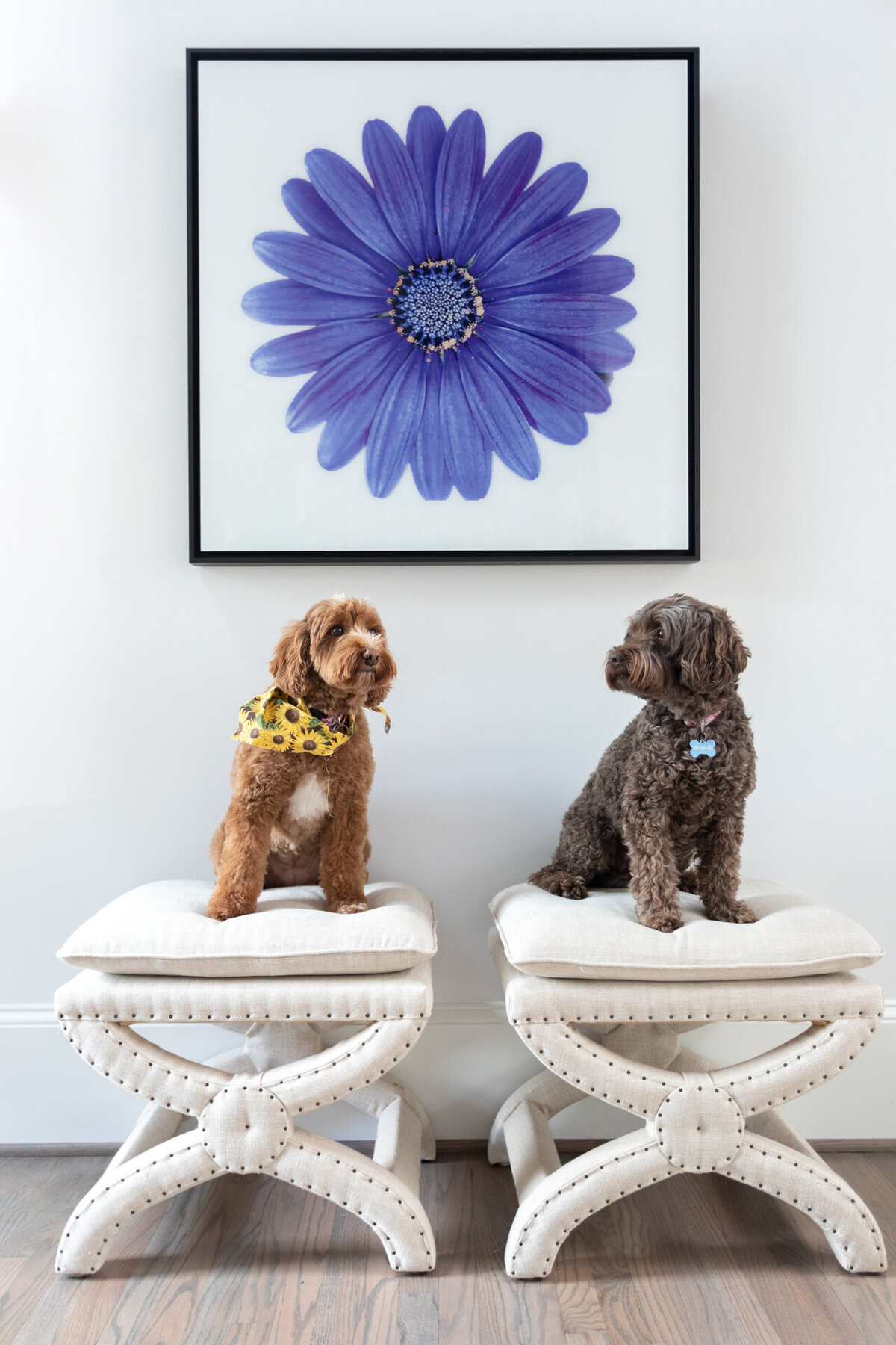 Georgia-Interior-Designer-Morse-Design-52