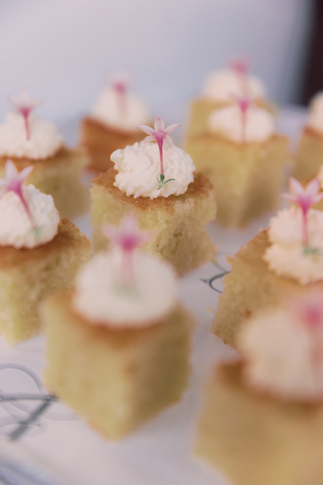 candaengagementparty-517_websize