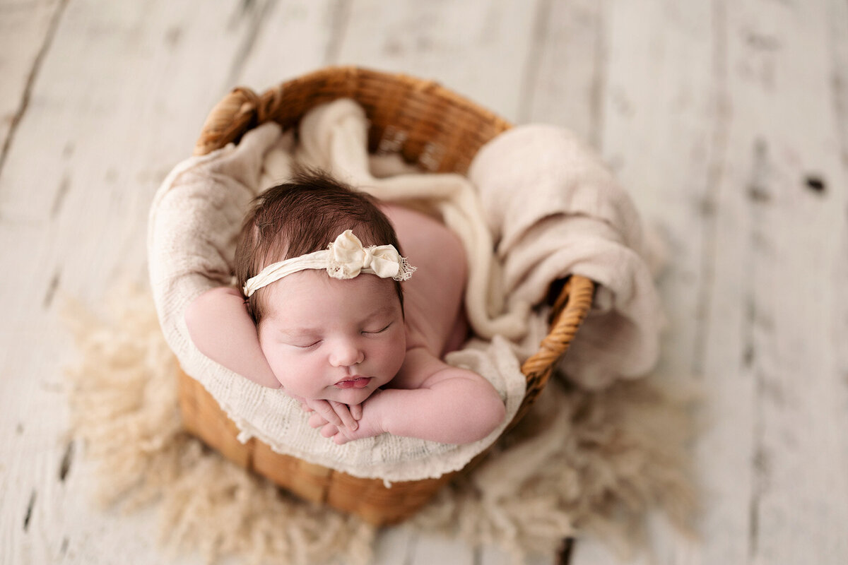 memphis newborn photography by jen howell 10