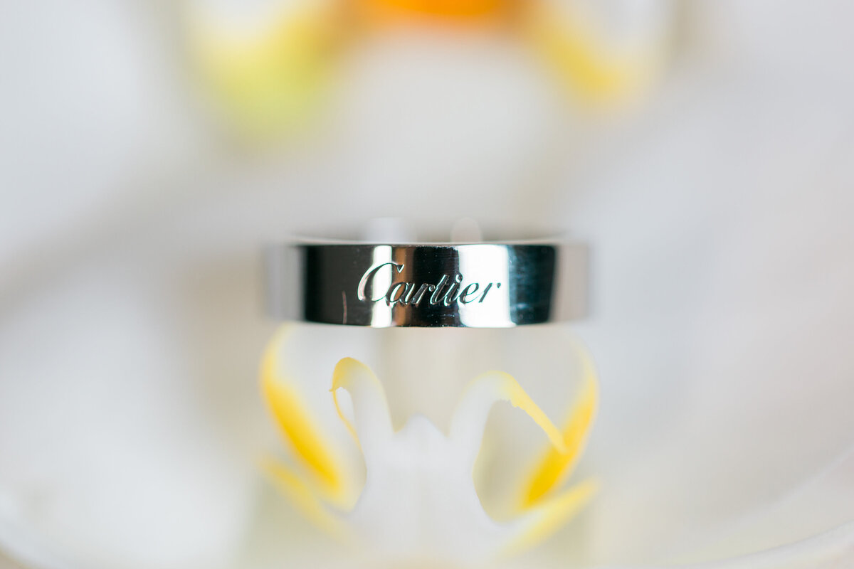 Montalvo-Villa-Wedding-jbj-associate-wedding645