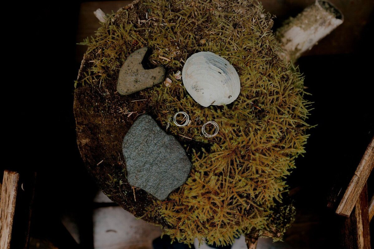 elope-in-minnesota-210