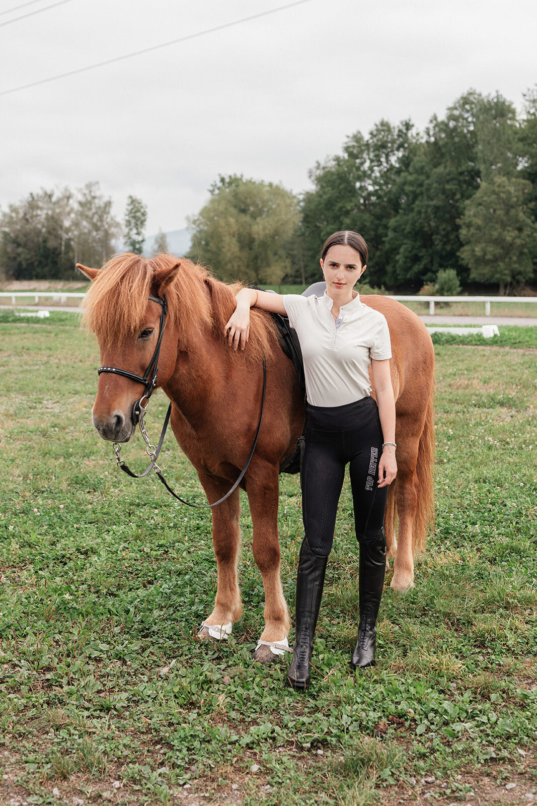 baar-horse