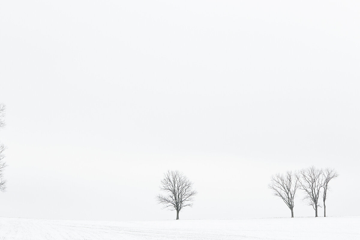 20130202_PROJECT_0028_01