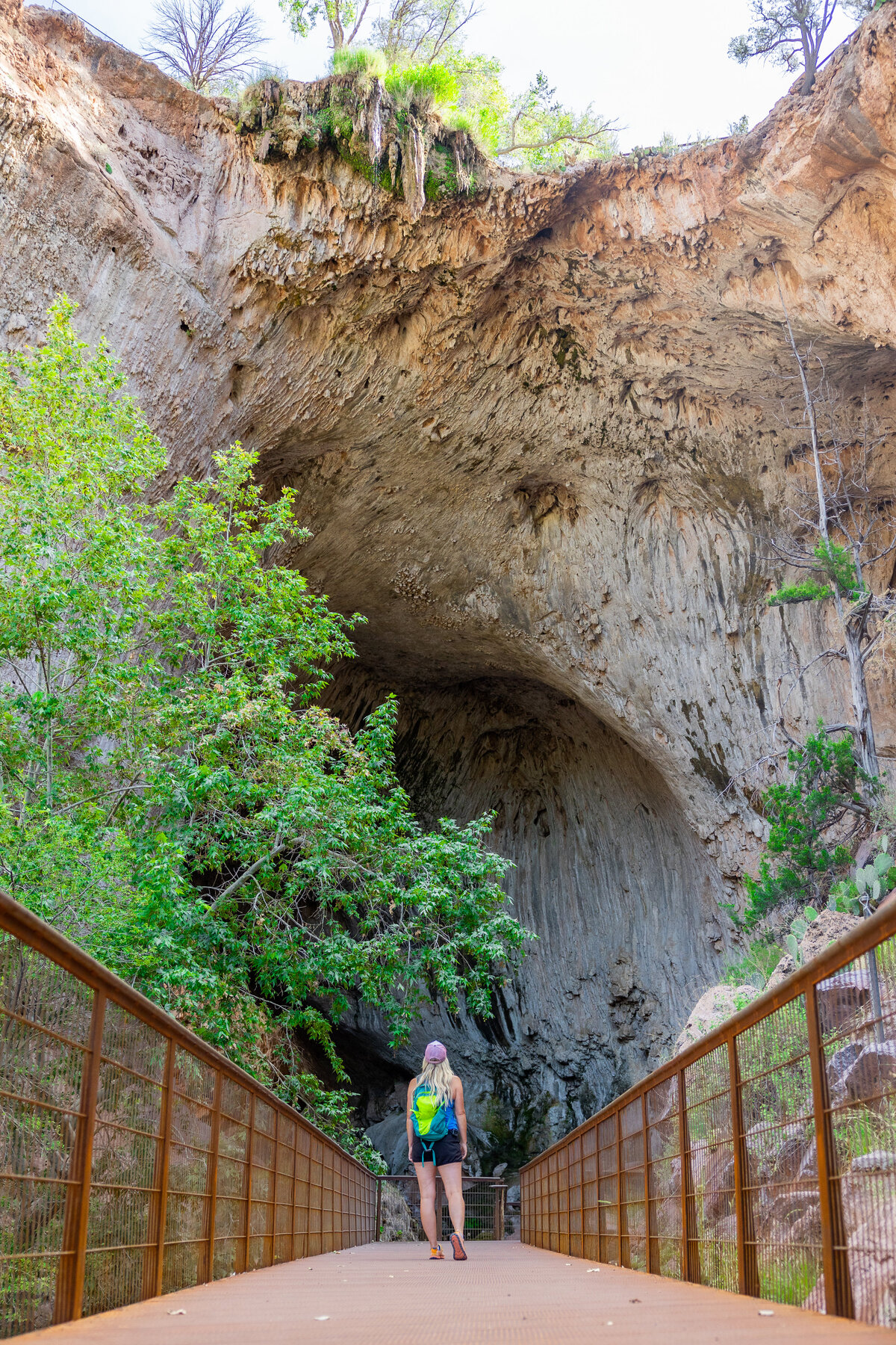 Friends of the Natural Bridge Events